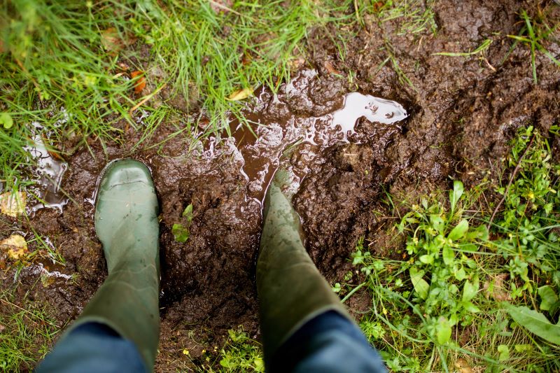 Service boots in a muddy backyard due to a septic backup.